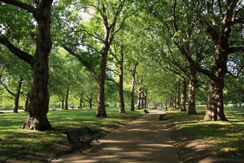 no limit биография но лимит грин парк генг версус versus jay budman грин парк